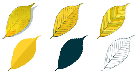 Obraz premium Hand-drawn elm leaf in autumn color isolated on white background. Cartoon flat style vector illustration.