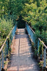 Obraz premium 가을 공원