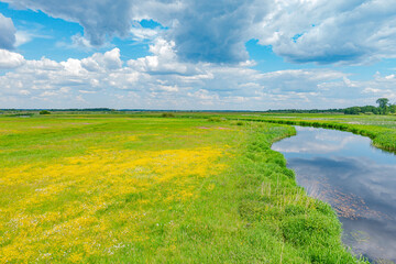 biebrza biebrzański park narodowy rzeka potok strumień rzeczka łąka pole pola pastwisko...