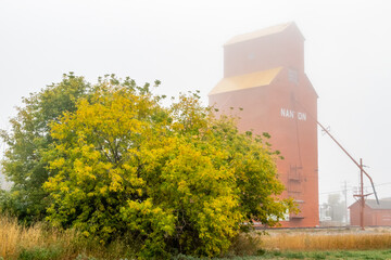 Fototapeta na wymiar Grain elevator and fall colours through morning mist. Nanton, Alberta, Canada