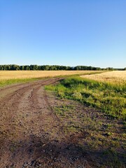 Fototapeta na wymiar road in the field