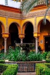 Fototapeta na wymiar palacio duenas seville palmier