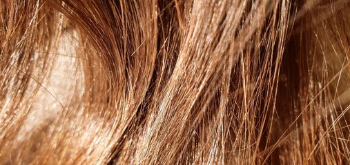Natural brown hair texture. Hair care, coloring, haircut in a beauty salon. Hair salon, beautiful beautiful shiny brown hair close-up. Hair texture.