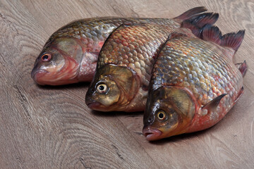 Fresh fish on the kitchen table. fish crucian carp on the table close-up