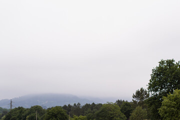 Obraz premium Imagen de un día nublado en un bosque con la niebla cubriendo la naturaleza. 