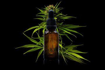Glass bottle with dispenser with cannabis oil in front of flowering marijuana plant