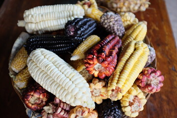 Various types of corn