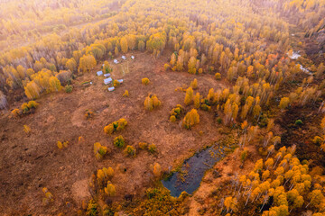 Landscape meander winding river and autumn yellow forest with sun light, Aerial top view