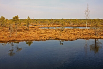Great Ķemeri Bog in Ķemeri National Park in Latvia