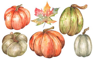 Watercolor Autumn Digital Elements Hand Drawn for Pattern Print Logo Design