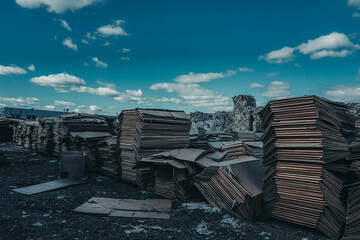 Photo of a large amount of cardboard in a garbage dump