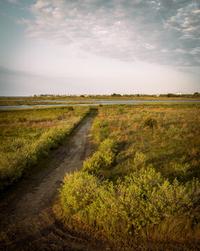 Galveston Island State Park, Texas