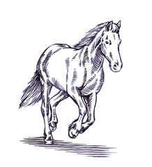 engrave ink draw horse illustration © Turaev