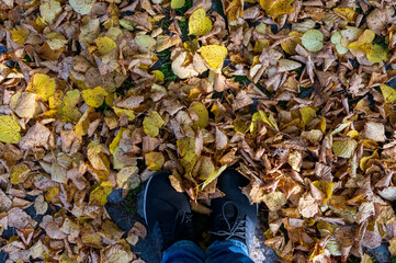 Looking down at shoes in pile of autumn leaves