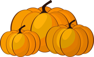 Vector illustration pumpkins isolated on white background