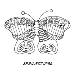 Vector doodle abstract outline decorative butterfly illustration