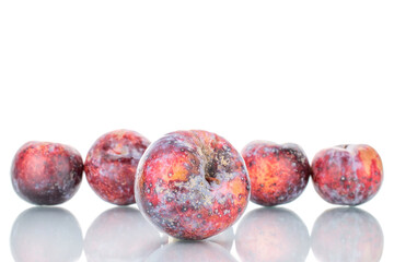 Several ripe purple plums, close-up, isolated on white.