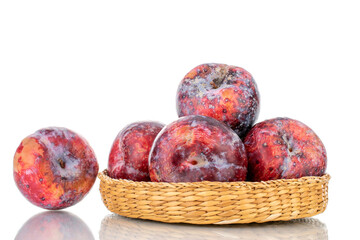 Several ripe purple plums with a straw plate, close-up, isolated on white.