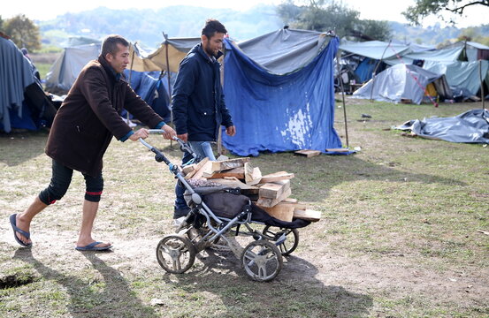 Afghan migrants carry wood in a baby carriage at a makeshift camp near Velika Kladusa