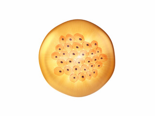 Skin cells inside shower gel droplet isolated on white, Anti-aging skin care concept
