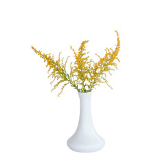 yellow flowers in white vase isolated on white background