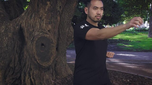 chinese man practicing kung fu at the park next to a tree