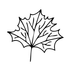 Isolated vector set of autumn leaves bouquet lined silhouettes in black and white