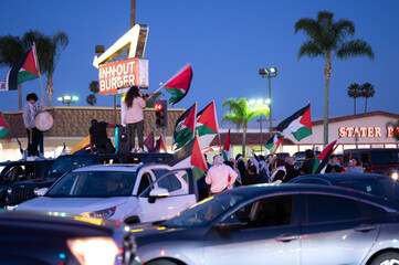 Fototapeta na wymiar Pro-Palestine Protest, June 5 2021, Anaheim CA