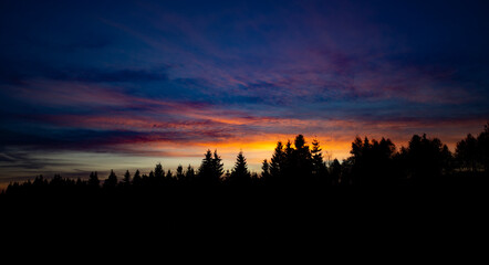 Beautiful sunrise and silhouettes of evergreen trees. 