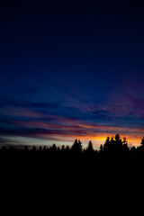 Obraz premium Beautiful sunrise and silhouettes of evergreen trees. 