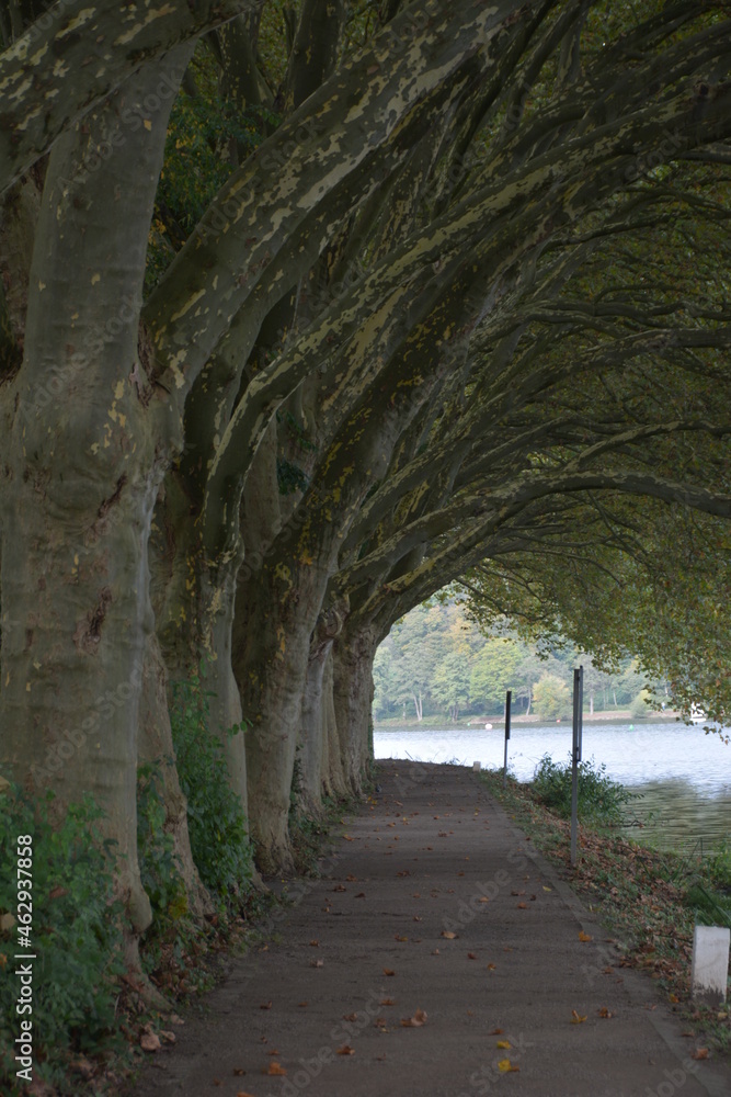 Poster Natur