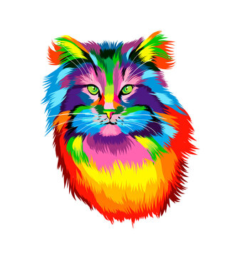 Cat face portrait from multicolored paints. Splash of watercolor, colored drawing, realistic. Vector illustration of paints