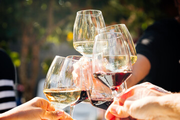 Group of people toasting with red and white wine outdoors
