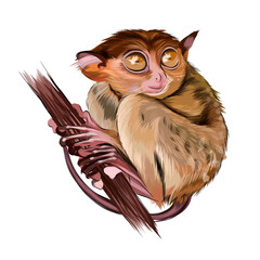Lemur tarsier sitting on a branch from multicolored paints. Splash of watercolor, colorful drawing, realistic. Vector illustration of paints © Liliia