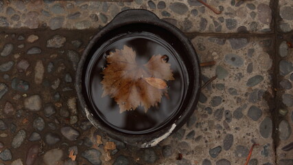 baking cookies in a pan