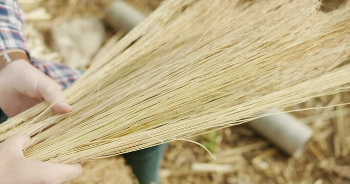 Farmer Making Traditional Straw Broom with sorghum, natural broom