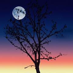Birds on a tree in full moon night 