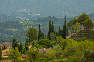 Classic French Provencal landscape, cypresses, houses with tiled roofs immersed in greenery, vineyards