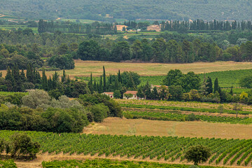 Fototapeta na wymiar Classic French Provencal landscape, cypresses, houses with tiled roofs immersed in greenery, vineyards