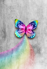Abstract grunge grey concrete background with colorful rainbow butterfly.