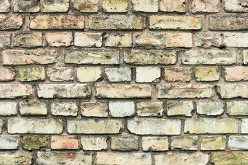 Old brick wall, abtract grunge background. Copy space