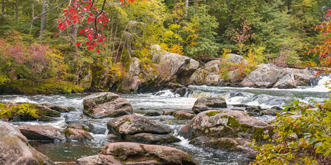 View of a stormy mountain river in September at the Wildcat Falls. Red autumn leaves hang over the river. Merrimack, New Hampshire, USA