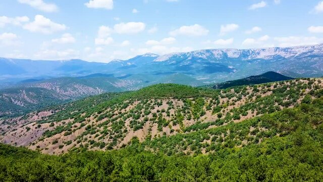 Vineyards crimea agriculture landscape farm, mountain farming outdoor andes, organic sunset. Commune texture rioja, ard hill valley