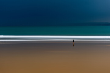 Sardinero