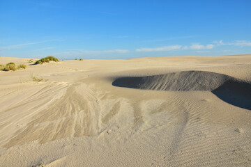 beautiful moving dunes, Leba in Poland