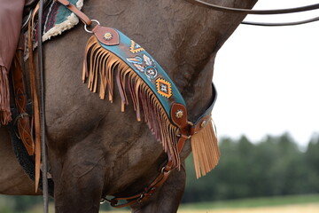 countrygirl. Frau galoppiert mit schwarzem Pferd über ein Stoppelfeld © Grubärin