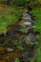 Tetrivci creek in Sumava national park in autumn day