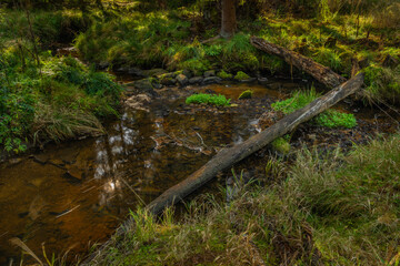 Tetrivci creek in Sumava national park in autumn day