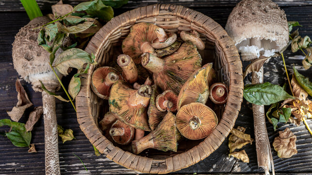 basket with autumn mushrooms