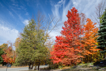 Obraz premium Fall colors in the Canadian countryside in the province of Quebec drone, wings, vehicle, pilot, aerial, technology, blue, transportation, air, fly, aviation, flight, sky, aircraft 